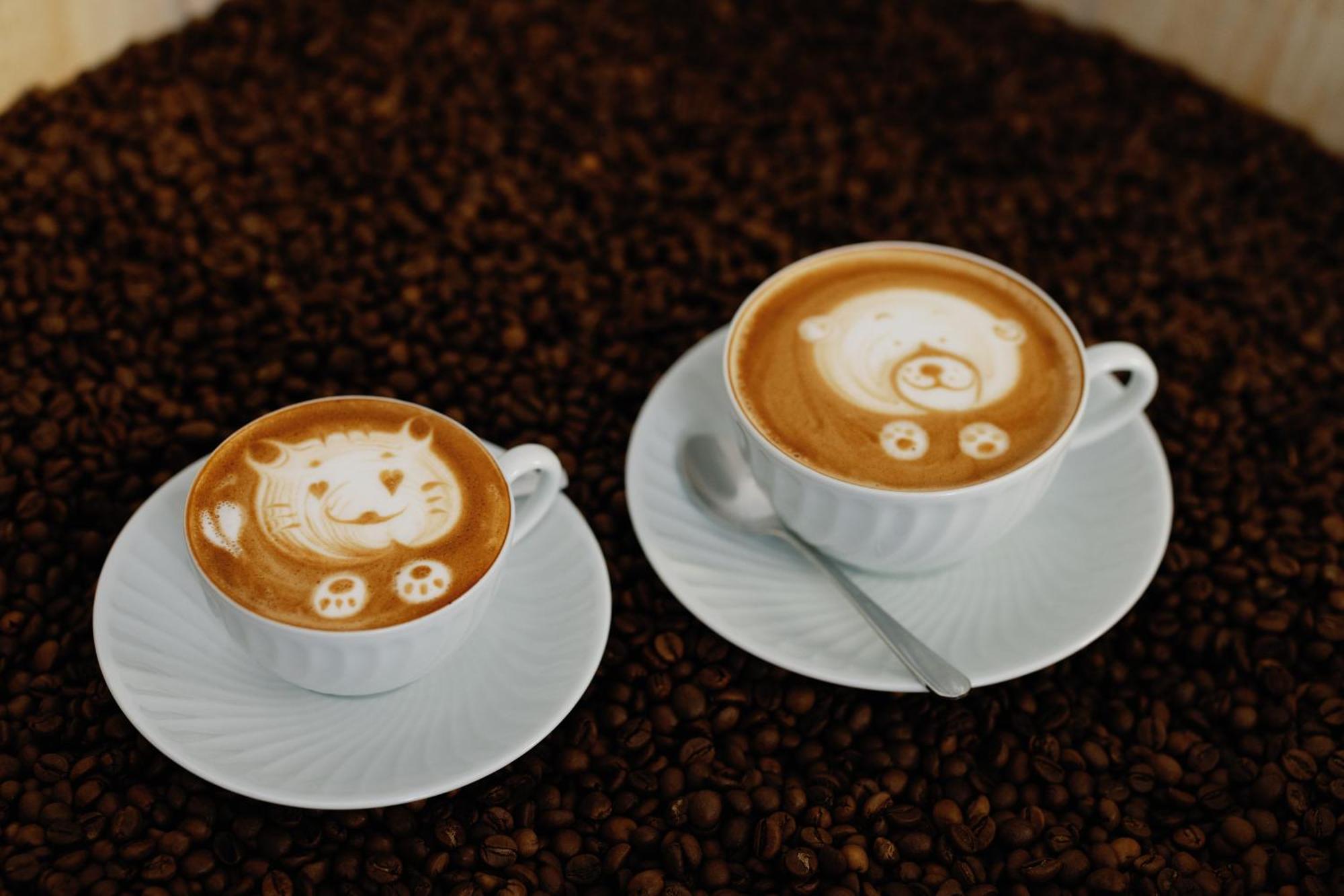 Palacio Do Visconde - The Coffee Experience リスボン エクステリア 写真